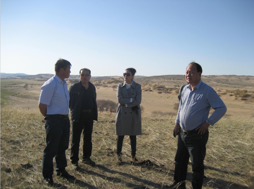 發(fā)揮資源優(yōu)勢，提高產(chǎn)業(yè)鏈競爭力——協(xié)會為企業(yè)間的合作搭建平臺