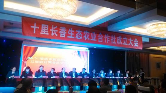 走過(guò)十里長(zhǎng)川，拉開(kāi)“十里長(zhǎng)香”品牌的序幕