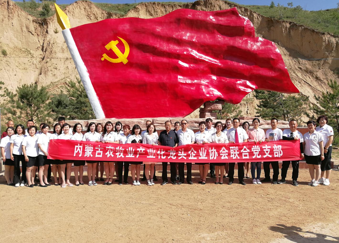 內(nèi)蒙古農(nóng)牧業(yè)產(chǎn)業(yè)化龍頭企業(yè)協(xié)會(huì)走進(jìn)石人灣村開(kāi)展“辦實(shí)事、解難題，送溫暖，傳黨恩”公益活動(dòng)